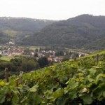 Vynuogynai prie Mozelio, Vokietija